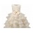 Children Luxury Party Formal Dress For Wedding Birthday Kids Christmas Ceremonies Dresses For Girls Lace Tutu Flower Girls Dress