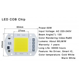 LED Chip COB lamp 10W 20W 30W 50W AC 220V 240V IP65 Smart IC No Need Driver DIY Flood light Led Bulb Spotlight Outdoor Lamp bead